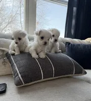 processed/69e0ee68-3bb2-4927-a603-08e49e780f9b/listing/2a481178-86f1-41f1-a974-6cd70665bd84/11332d3a-ba8d-4bef-939a-37435633e555