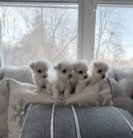 processed/69e0ee68-3bb2-4927-a603-08e49e780f9b/listing/2a481178-86f1-41f1-a974-6cd70665bd84/3416c9d0-fa39-41eb-a8b5-498f96c42a25