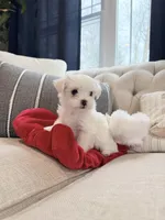 processed/69e0ee68-3bb2-4927-a603-08e49e780f9b/listing/2a481178-86f1-41f1-a974-6cd70665bd84/4271d411-1746-4cd8-8ee4-6fb460c87194