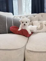 processed/69e0ee68-3bb2-4927-a603-08e49e780f9b/listing/2a481178-86f1-41f1-a974-6cd70665bd84/7bb2b06a-2965-4611-93af-54054ebac2bd