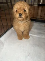 processed/69e177a0-2819-41a9-92ed-199e08b70abc/facility/0b390e0b-359b-4ddb-b232-633f68ea16e7