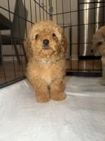 processed/69e177a0-2819-41a9-92ed-199e08b70abc/facility/234abe77-4adb-4c90-918b-f854802ae7fc