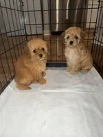 processed/69e177a0-2819-41a9-92ed-199e08b70abc/facility/317fcd59-f782-4bdc-8b1b-28a49c1e150d