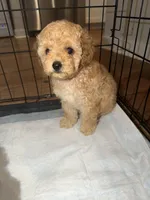 processed/69e177a0-2819-41a9-92ed-199e08b70abc/facility/5b5b5a50-7801-4c81-81ad-5b4e7221297d