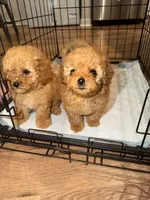 processed/69e177a0-2819-41a9-92ed-199e08b70abc/facility/72782a23-49d4-443e-8576-44bdf67dca4b