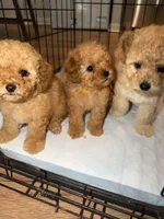 processed/69e177a0-2819-41a9-92ed-199e08b70abc/facility/cbde0935-2fa6-40b9-a3c3-80ca06f19bc2