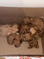 processed/69e177a0-2819-41a9-92ed-199e08b70abc/facility/cd346a99-3c6f-4acd-b520-b6bcb189be6a