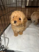 processed/69e177a0-2819-41a9-92ed-199e08b70abc/facility/f6103593-cfd4-4786-a6a1-546e6e0e8b02