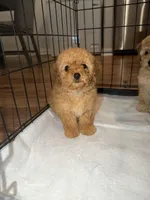 processed/69e177a0-2819-41a9-92ed-199e08b70abc/facility/fc690464-31f1-4478-b709-38b54d96f661