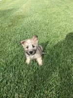 processed/69e4d46d-50ce-4997-800f-986d51746886/facility/106d7b52-9f8c-4daf-929b-46bde6878a91