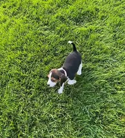 processed/69e4d46d-50ce-4997-800f-986d51746886/facility/26411be6-cfef-477d-b2e4-71c2f519e786