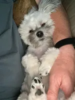 processed/69e4d46d-50ce-4997-800f-986d51746886/facility/34eed978-88f0-4071-9c64-1de669fff000