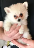 processed/69e4d46d-50ce-4997-800f-986d51746886/facility/9c6c2af0-a6fd-47b1-b1d3-37567a8d2c25