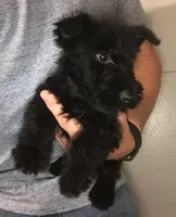 processed/69e4d46d-50ce-4997-800f-986d51746886/facility/ee5770b9-1ac0-47df-a24b-003bff4436b7