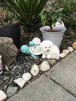 processed/69e4d46d-50ce-4997-800f-986d51746886/listing/ac008036-d799-4ee9-9bae-91549734ec11/23a96a1e-7fa9-4019-9443-6c97e8fb871d