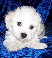 processed/69e4d46d-50ce-4997-800f-986d51746886/listing/ac008036-d799-4ee9-9bae-91549734ec11/32404a64-ed8b-4e18-9711-5def67a91e35