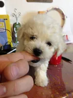 processed/69e4d46d-50ce-4997-800f-986d51746886/listing/ac008036-d799-4ee9-9bae-91549734ec11/61fd7965-7d38-486f-addf-7088d39aa6d9