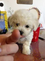 processed/69e4d46d-50ce-4997-800f-986d51746886/listing/ac008036-d799-4ee9-9bae-91549734ec11/75dcb75b-2939-4979-b240-dc43b4e26b9c