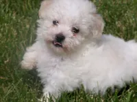 processed/69e4d46d-50ce-4997-800f-986d51746886/listing/ac008036-d799-4ee9-9bae-91549734ec11/e3104309-267c-420e-8a15-f88e9f7d2ad8