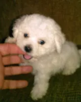 processed/69e4d46d-50ce-4997-800f-986d51746886/listing/eabf9379-1295-461d-b4e3-210f2056f329/0281dab4-be94-4a0a-8e22-508ac6fd7124