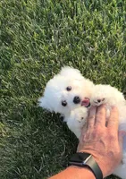 processed/69e4d46d-50ce-4997-800f-986d51746886/listing/eabf9379-1295-461d-b4e3-210f2056f329/1f8579df-66ab-403e-8179-4e0243564bf3