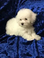 processed/69e4d46d-50ce-4997-800f-986d51746886/listing/eabf9379-1295-461d-b4e3-210f2056f329/36ae4097-8487-4d0e-ac63-b08c8766a619