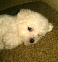 processed/69e4d46d-50ce-4997-800f-986d51746886/listing/eabf9379-1295-461d-b4e3-210f2056f329/80d57d10-6764-4781-ba8c-bb5df64a04db