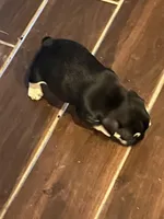 processed/69f53817-1942-42f5-9810-139f11f60a85/facility/084c7d10-1318-4fb3-9bf0-dc367920d60c