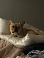 processed/69f53817-1942-42f5-9810-139f11f60a85/facility/32186a7f-f51c-4ab8-988f-5fd521fffe46