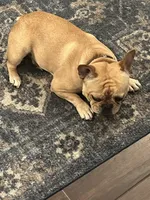 processed/69f53817-1942-42f5-9810-139f11f60a85/facility/384f397f-a4b2-4826-9557-135e9bbb671d