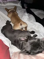 processed/69f53817-1942-42f5-9810-139f11f60a85/facility/52e05f69-5427-4cf5-b6be-c7b91e2d933b