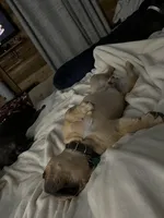 processed/69f53817-1942-42f5-9810-139f11f60a85/facility/da825929-1fef-46e0-a42e-0334c65a3152