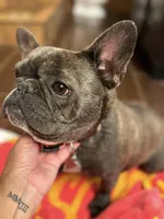 processed/69f53817-1942-42f5-9810-139f11f60a85/facility/db814e6d-3028-4ba7-a2f9-7f4803f6ca58