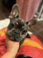 processed/69f53817-1942-42f5-9810-139f11f60a85/facility/faf525e9-65ba-4982-a3d8-c0d4b2331b3f