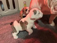 processed/69fa232c-bd2d-4aed-834c-b30c8fb6ee21/listing/79fdb782-6002-4894-bf7d-b1b3a0a4733a/0947ef25-941c-46d2-b329-bd52d78e98b2