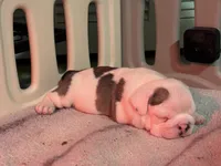 processed/69fa232c-bd2d-4aed-834c-b30c8fb6ee21/listing/79fdb782-6002-4894-bf7d-b1b3a0a4733a/33ea02c1-7654-4aae-b683-4c06560b6086