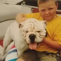 REAL GA BULLDOG, a male English Bulldog for sale in Chattahoochee Hills, GA – Photo 9 of 10