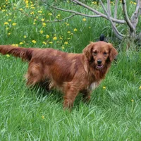 processed/6a00e5d3-2d97-4a2c-8e7a-4f4d67af48b2/facility/06fbf7bb-b229-483a-a125-5a0ef2aa63ab