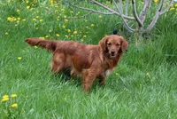 processed/6a00e5d3-2d97-4a2c-8e7a-4f4d67af48b2/facility/06fbf7bb-b229-483a-a125-5a0ef2aa63ab