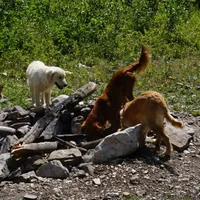 processed/6a00e5d3-2d97-4a2c-8e7a-4f4d67af48b2/facility/1c7c3240-e707-4c0d-8318-7fe46ef45def