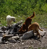 processed/6a00e5d3-2d97-4a2c-8e7a-4f4d67af48b2/facility/1c7c3240-e707-4c0d-8318-7fe46ef45def