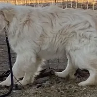 processed/6a00e5d3-2d97-4a2c-8e7a-4f4d67af48b2/facility/5d6ccd47-4f57-4107-8988-7ccd4768ea8f