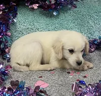 processed/6a00e5d3-2d97-4a2c-8e7a-4f4d67af48b2/listing/35ebdc7c-ec6e-407c-a7cb-9fe58c5f1b73/8896e3de-b6f3-4f41-8255-a60a57423b69