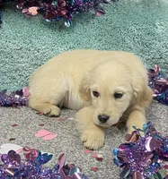 processed/6a00e5d3-2d97-4a2c-8e7a-4f4d67af48b2/listing/782fbcb7-c297-4581-b3c3-f9a5f9cbb9d3/65df7a38-424c-48e6-a708-49399402a34a