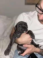 processed/6a0196eb-7a4f-4997-ac66-10eb6b55c108/listing/f89dcb65-7d2b-4cfd-9ecd-9383eba56e59/7ba01ae5-7131-43a3-8957-2dc8e0b25bcb