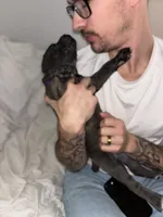 processed/6a0196eb-7a4f-4997-ac66-10eb6b55c108/listing/f89dcb65-7d2b-4cfd-9ecd-9383eba56e59/880c6a80-64e4-4dc9-b99d-ac0848833779