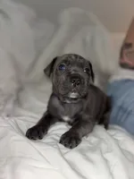 processed/6a0196eb-7a4f-4997-ac66-10eb6b55c108/listing/f89dcb65-7d2b-4cfd-9ecd-9383eba56e59/a630af96-2d6d-4021-b35d-6bc4851754de