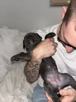 processed/6a0196eb-7a4f-4997-ac66-10eb6b55c108/listing/f89dcb65-7d2b-4cfd-9ecd-9383eba56e59/e9a4599a-70a9-4dfd-9ea5-3aa2d8824094