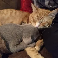 processed/6a01cff9-c4f9-409f-b7c5-b7398fdf697a/facility/3a2c8a1a-8765-4234-ad76-0c845824a51b