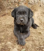 processed/6a01cff9-c4f9-409f-b7c5-b7398fdf697a/facility/aa482aef-cae3-4016-94e9-a8b645da3ee8